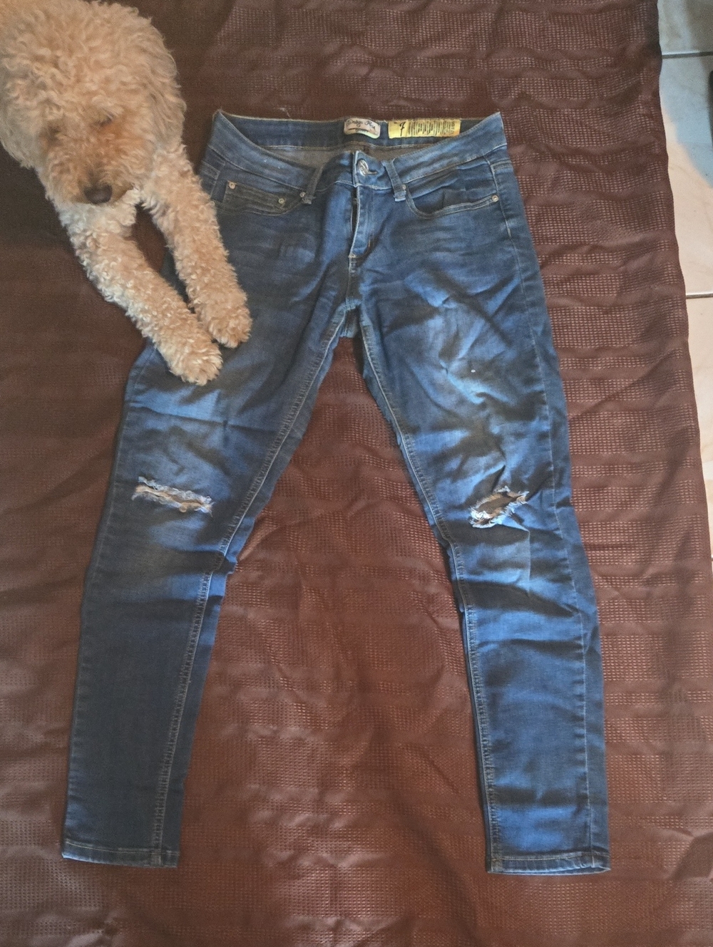 Indigo Rein Women's Dark Blue Ripped Skinny Jeans